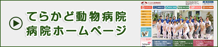 てらかど動物病院ホームページ